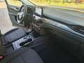 Ford Kuga 1.5 EcoBlue 120 CV AT Titanium Business Grau - thumbnail 13