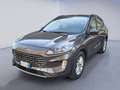 Ford Kuga 1.5 EcoBlue 120 CV AT Titanium Business Grau - thumbnail 1