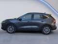 Ford Kuga 1.5 EcoBlue 120 CV AT Titanium Business Grau - thumbnail 8