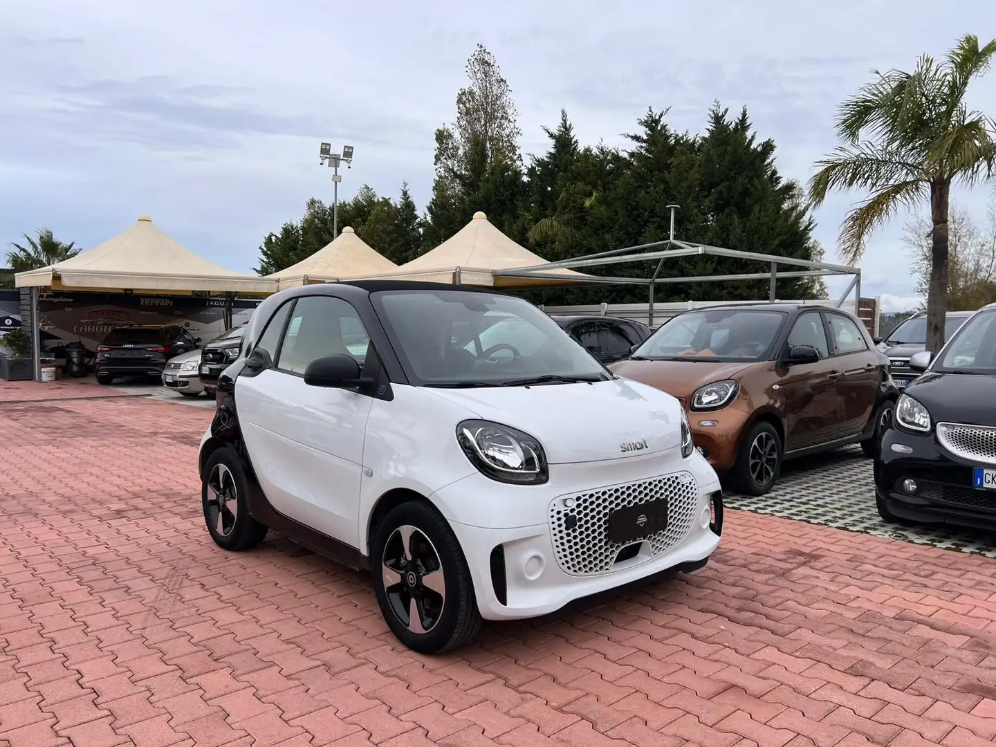 smart forTwo Fortwo eq racingrey 22kW Bianco - 1