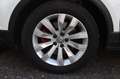 Volkswagen T-Roc 1.5 TSI Sport DSG*AHK*PDC*SHZ*LED*ACC Wit - thumbnail 15