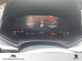SEAT Ibiza FR 1.0 TSI 6-Gang LED Kamera FULL LINK Grau - thumbnail 14
