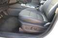 Ford Kuga 1.5 D Titanum X Bianco - thumbnail 13