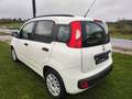 Fiat Panda Panda 1.2i Easy Wit - thumbnail 6