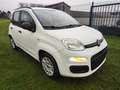 Fiat Panda Panda 1.2i Easy Wit - thumbnail 3