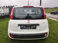 Fiat Panda Panda 1.2i Easy Wit - thumbnail 5