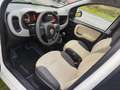 Fiat Panda Panda 1.2i Easy Wit - thumbnail 7