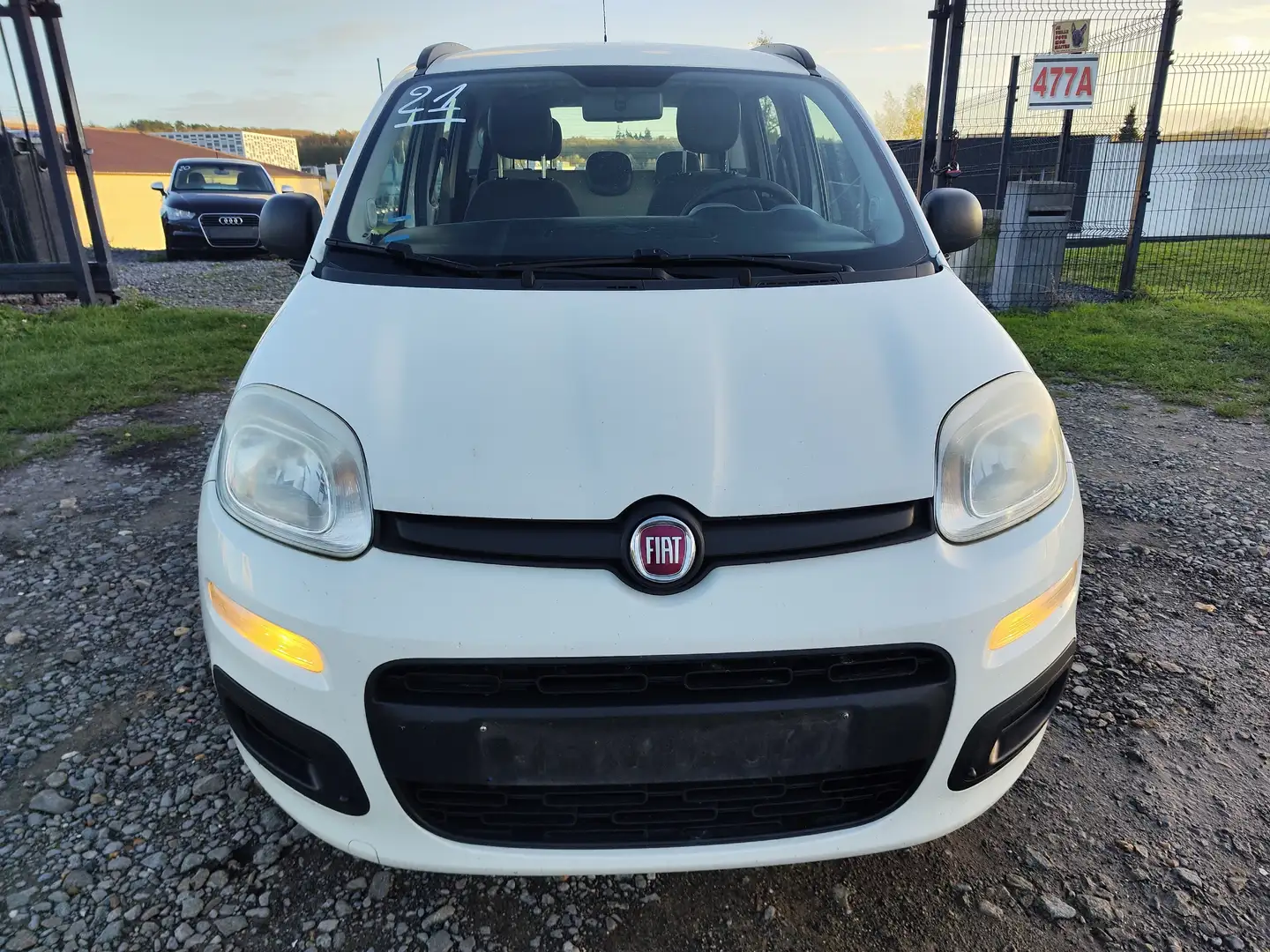 Fiat Panda Panda 1.2i Easy Blanc - 2