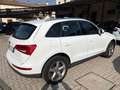 Audi Q5 2.0 tdi quattro 177cv Bianco - thumbnail 5