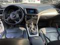 Audi Q5 2.0 tdi quattro 177cv Bianco - thumbnail 9