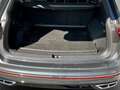 Volkswagen Tiguan Allspace R-Line TDI 4MOTION DSG Grau - thumbnail 7