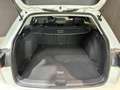 Volkswagen Golf Variant 2.0TDI Life 85kW Blanco - thumbnail 26