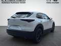 Mazda CX-30 2.5L e-SKYACTIV G 140ps Homura Weiß - thumbnail 6