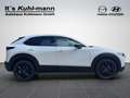 Mazda CX-30 2.5L e-SKYACTIV G 140ps Homura Weiß - thumbnail 7