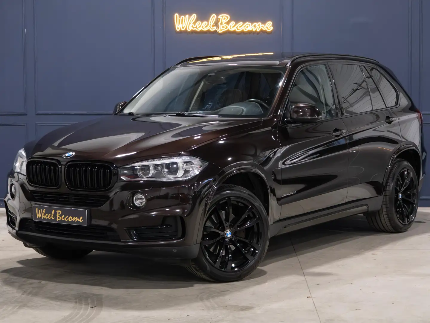 BMW X5 X5 xDrive30d 258 ch Lounge Plus A Braun - 1
