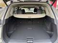 Nissan X-Trail 1.5 VC-T e-4ORCE 4x4 N-Connecta 5 Sitze PGD Beige - thumbnail 4