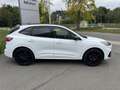 Ford Kuga ST-Line X PHEV Black Package *16446 Blanc - thumbnail 7