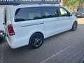 Mercedes-Benz V 250 D Lang,BlueTEC Edition/7Sitze/Tüv neu Wit - thumbnail 7