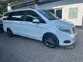 Mercedes-Benz V 250 D Lang,BlueTEC Edition/7Sitze/Tüv neu Wit - thumbnail 5