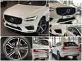 Volvo XC60 AWD R-Design Luftf. Pano H&K ACC 360° 21" White - thumbnail 12