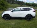 Honda CR-V 2,0 i-MMD HYBRID 4WD Sport Line Blanc - thumbnail 2