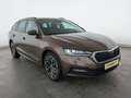 Skoda Octavia Octavia Combi 1.5 TSI ACT Ambition LED+CARPLAY+ BC Коричневий - thumbnail 5