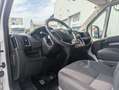 Fiat Ducato 35 L3 H3 2.3 1 (103 kW) Euro 6d-temp Blanc - thumbnail 16