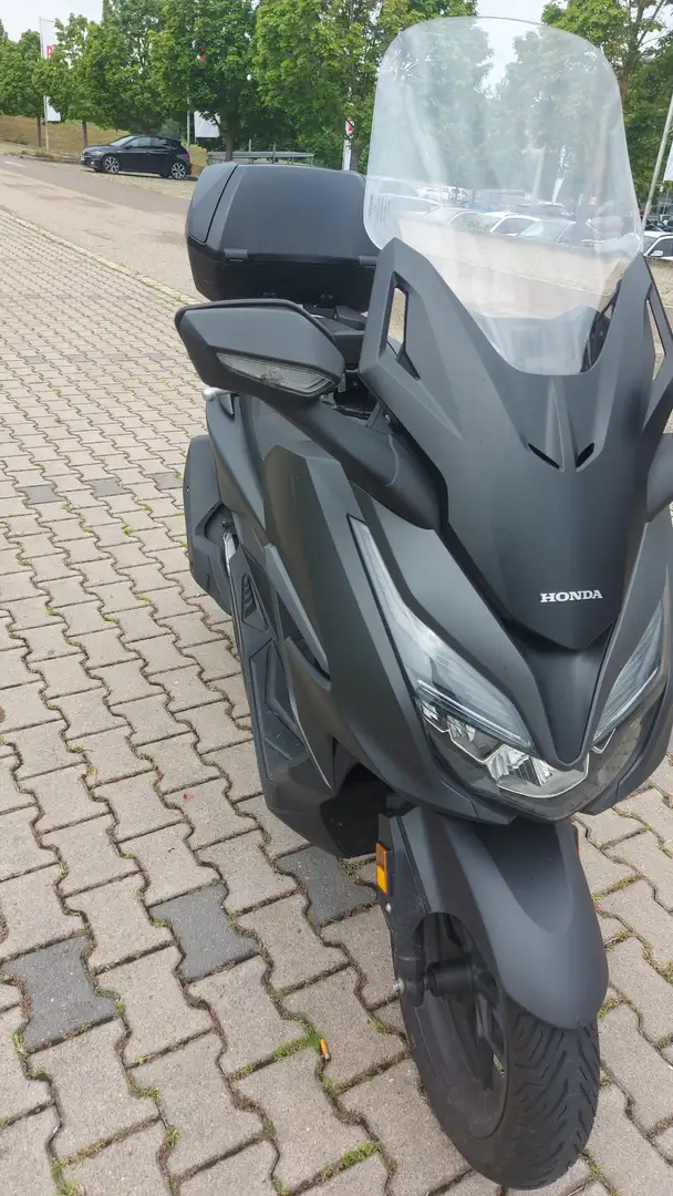 Honda Forza 125 Šedá - 1