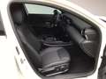 Mercedes-Benz A 180 A 180 Progressive Line Advanced/AHK/MBUX/VKZ/ Navi Weiß - thumbnail 10