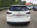 Mazda CX-5 2.5L e-SKYACTIV G 194ps 6AT FWD AD'VANTAGE Weiß - thumbnail 6
