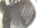 Mazda CX-5 2.5L e-SKYACTIV G 194ps 6AT FWD AD'VANTAGE Weiß - thumbnail 12