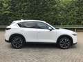 Mazda CX-5 2.5L e-SKYACTIV G 194ps 6AT FWD AD'VANTAGE Weiß - thumbnail 4