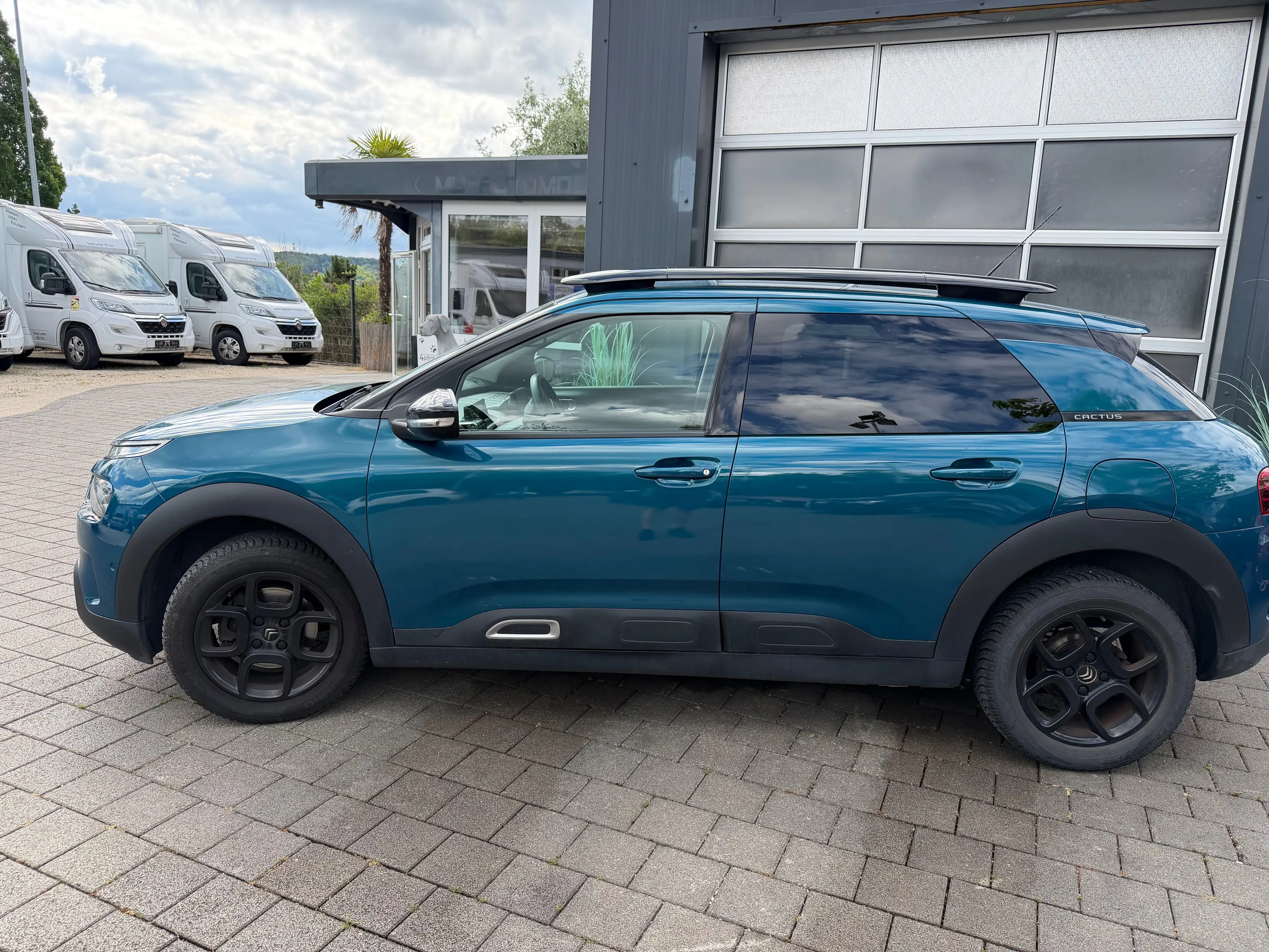Citroen C4 Cactus Shine — photo 2