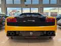 Lamborghini Gallardo Gallardo Coupe 5.2 LP 560-4 - SE BICOLORE Geel - thumbnail 12