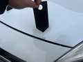 Renault Grand Scenic 1.5 dCi Energy Bose Edition 7pl. + CLIM Blanc - thumbnail 9