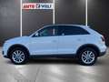 Audi Q3 2.0 TDI quattro Klimaaut. Xenon Sitzheizung Weiß - thumbnail 6