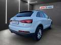 Audi Q3 2.0 TDI quattro Klimaaut. Xenon Sitzheizung Weiß - thumbnail 4