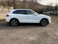 Porsche Cayenne 3.0 V6 tdi 245cv tiptronic - Uff. Porsche Bianco - thumbnail 4