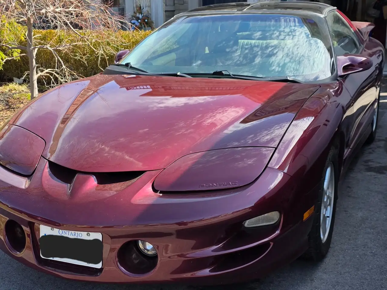 Pontiac Firebird снимка Pontiac Firebird