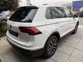 Volkswagen Tiguan Tiguan 2.0 TDI 150 CV SCR DSG Life *PROMO AZZURRA Bianco - thumbnail 4
