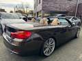 BMW 435 i Cabrio Luxury,Individual°Head°LM19°LED° Brown - thumbnail 12