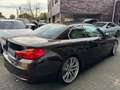 BMW 435 i Cabrio Luxury,Individual°Head°LM19°LED° Brown - thumbnail 7