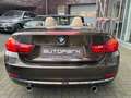 BMW 435 i Cabrio Luxury,Individual°Head°LM19°LED° Brown - thumbnail 8