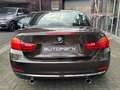 BMW 435 i Cabrio Luxury,Individual°Head°LM19°LED° Brown - thumbnail 6