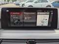 BMW 520 BMW 520d xDrive Touring Aut. Blu/Azzurro - thumbnail 15