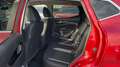 Nissan Qashqai 1.5 DCI ACENTA 110 5P Rot - thumbnail 13