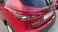 Nissan Qashqai 1.5 DCI ACENTA 110 5P Rot - thumbnail 19