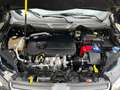Ford EcoSport 1.5 TDCi 95 CV Plus Nero - thumbnail 11