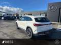 Mercedes-Benz EQA 250 PAMO-AMG-360-LED-DISTRONIC-KEYLESS Weiß - thumbnail 5