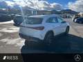 Mercedes-Benz EQA 250 PAMO-AMG-360-LED-DISTRONIC-KEYLESS Weiß - thumbnail 7